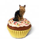 PCC17 Maine Coon Brown Tabby Kittycake Trinket Box