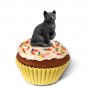 PCC49 Shorthair Black Tabby Kittycake Trinket Box