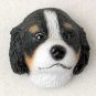 PDM61 Bernese Mountain Dog Puppy Magnet