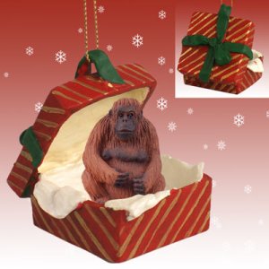 RGBA15 Orangutan Red Gift Box Ornament