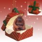 RGBA15 Orangutan Red Gift Box Ornament