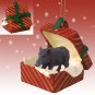 RGBA22 Hog, Razorback Red Gift Box Ornament