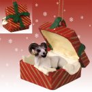 RGBA25 Sheep, Dall Red Gift Box Ornament