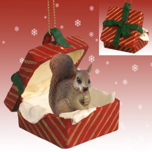 RGBA30A Squirrel, Red, Red Gift Box Ornament