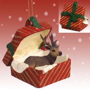 RGBA33 Elk, Bull Red Gift Box Ornament