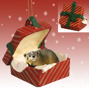 RGBA35 Badger Red Gift Box Ornament