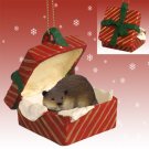 RGBA36 Beaver Red Gift Box Ornament