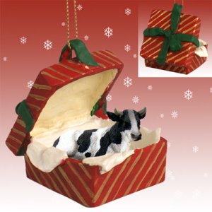 RGBA37 Holstein Bull Red Gift Box Ornament