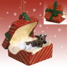 RGBA38 Guernsey Bull Red Gift Box Ornament