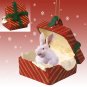 RGBA51 Rabbit, White Red Gift Box Ornament