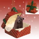 RGBA62 Grizzly Bear Red Gift Box Ornament