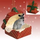 RGBA64 Kangaroo Red Gift Box Ornament