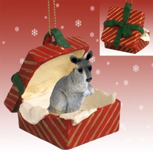 RGBA64 Kangaroo Red Gift Box Ornament