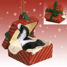 RGBA65 Skunk Red Gift Box Ornament