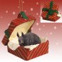 RGBA66 Armadillo Red Gift Box Ornament