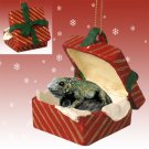 RGBA71 Iguana Red Gift Box Ornament