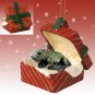 RGBA71 Iguana Red Gift Box Ornament