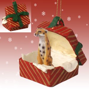 RGBA76 Cheetah Red Gift Box Ornament