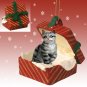 RGBC01 Shorthair Silver Tabby Red Gift Box Ornament
