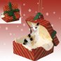 RGBC06 Cornish Rex Tortoise & White Red Gift Box Ornament