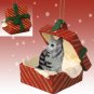 RGBC16 Maine Coon Silver Red Gift Box Ornament
