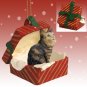 RGBC17 Maine Coon Brown Red Gift Box Ornament