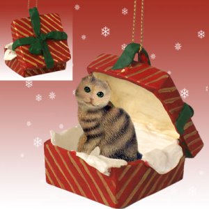 RGBC20 Scottish Fold Brown Tabby Red Gift Box Ornament
