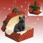 RGBC49 Shorthair Black Tabby Red Gift Box Ornament