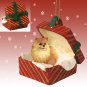 RGBD03A Pomeranian, Red, Red Gift Box Ornament