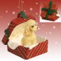 RGBD104C Poodle, Apricot, Sport cut Red Gift Box Ornament