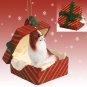 RGBD110B Japanese Chin, Brown & White Red Gift Box Ornament