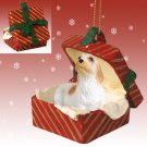 RGBD113 Basset Griffon Vendeen Red Gift Box Ornament