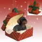 RGBD124 Wire Haired Dachshund Red Gift Box Ornament