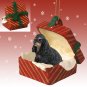 RGBD15F Cocker Spaniel, Black & Tan Red Gift Box Ornament