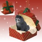 RGBD21C Chow, Blue Red Gift Box Ornament