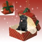 RGBD30 Newfoundland Red Gift Box Ornament
