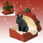 RGBD58B Schnauzer, Giant, Black Red Gift Box Ornament