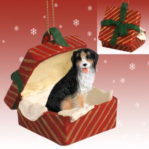 RGBD61 Bernese Mountain Dog Red Gift Box Ornament