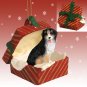 RGBD61 Bernese Mountain Dog Red Gift Box Ornament