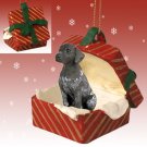 RGBD67 German Short Hair Red Gift Box Ornament