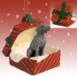 RGBD68 Weimaraner Red Gift Box Ornament
