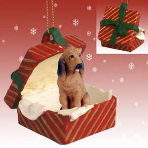 RGBD69 Bloodhound Red Gift Box Ornament