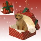 RGBD78 Rhodesian Ridgeback  Red Gift Box Ornament