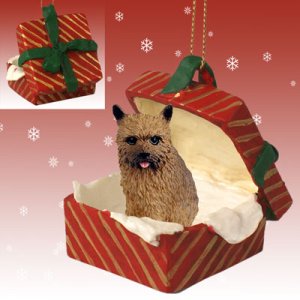 RGBD79 Norwich Terrier Red Gift Box Ornament