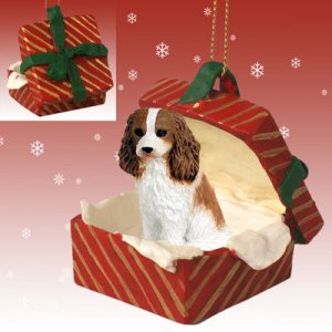 RGBD80A Cavalier King Charles, Brown & White Red Gift Box Ornament