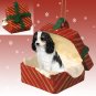 RGBD80B Cavalier King Charles, Black & White Red Gift Box Ornament
