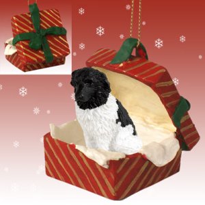 RGBD86 Landseer  Red Gift Box Ornament