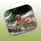 WCFP09X Golden Retriever Mouse Pad