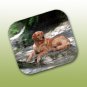 WCFP09X Golden Retriever Mouse Pad