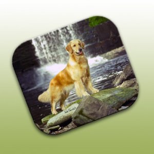 WCFP09Z Golden Retriever Mouse Pad
